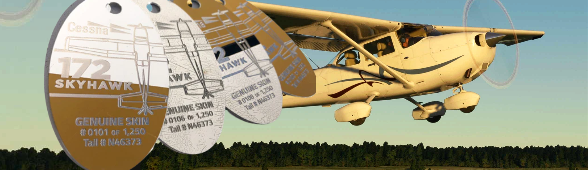 PlaneTags Cessna 172 Skyhawk