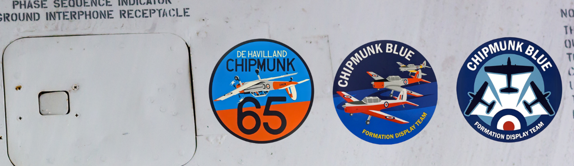 Chipmunk Blue Display Team Logo Bumper Sticker