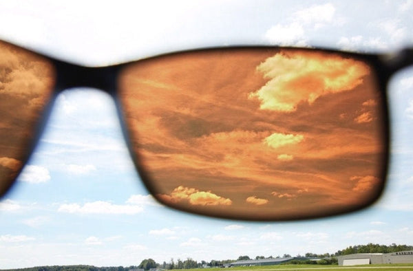 Cloudbase LeeWave Sunglasses Sunglasses by Cloudbase | Downunder Pilot Shop