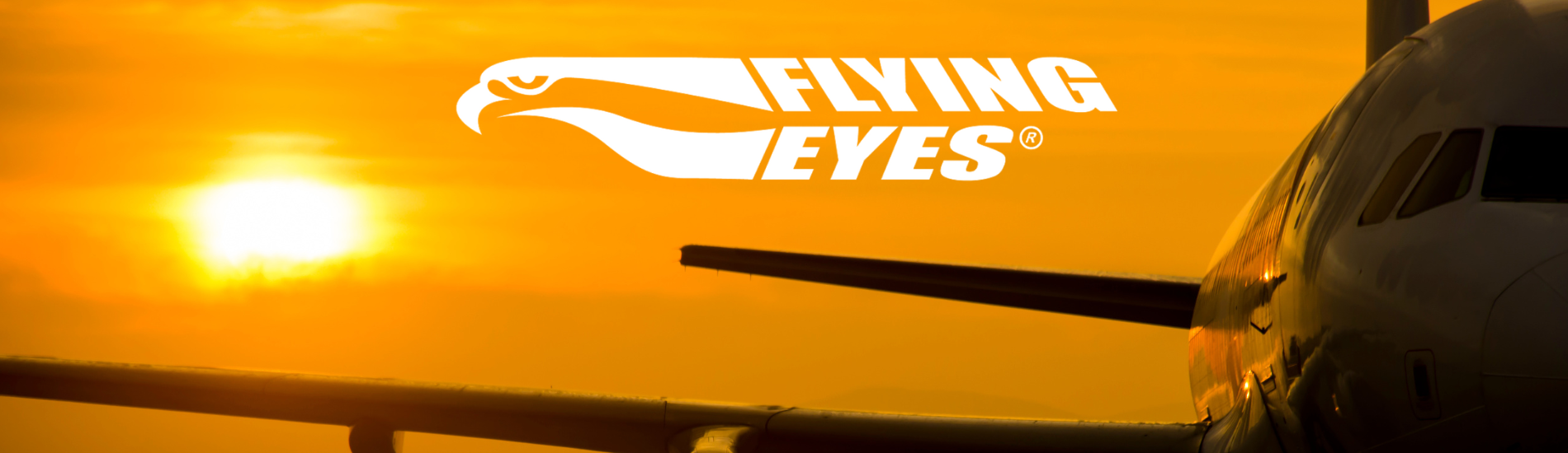 Flying Eyes Kingfisher