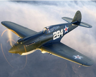 Planetag Curtiss P-40 Warhawk Keychains by Planetags | Downunder Pilot Shop