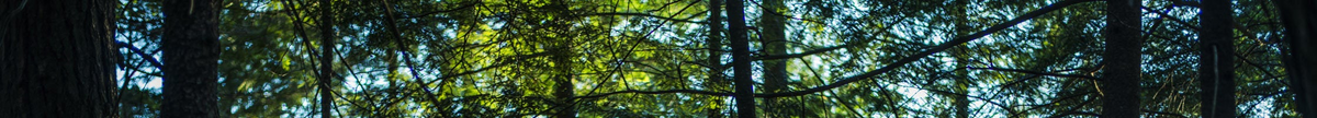 Astrolabe Outdoors