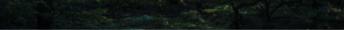 Astrolabe Outdoors